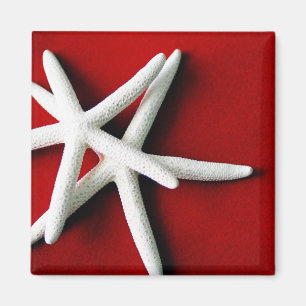 Star fish Magnet Magneet