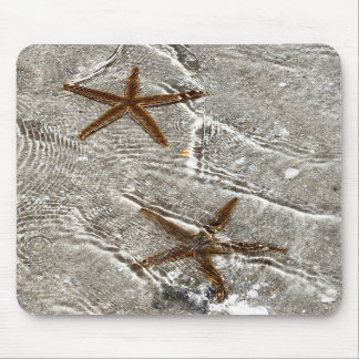 Star Fish-Muismat Muismat