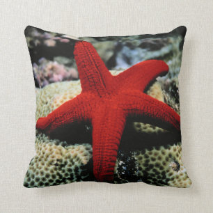 Star Fish Rood Zee Kussen
