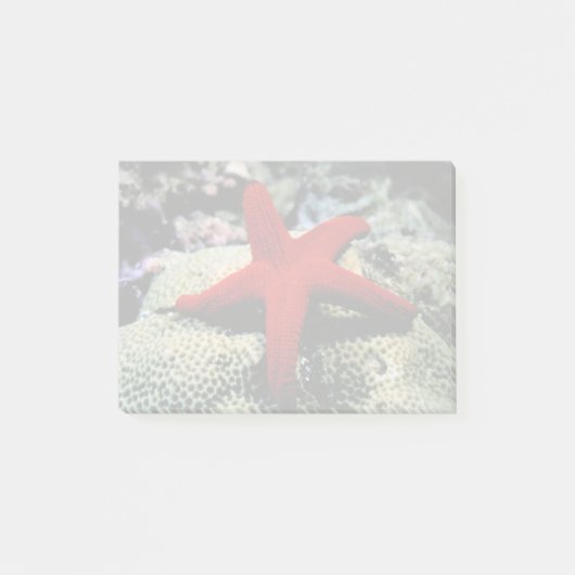 Star Fish | Rood Zee Post-it® Notes (Voorkant)