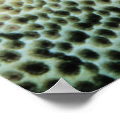 Star Fish | Rood Zee Poster (Hoek)