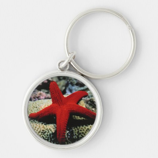 Star Fish | Rood Zee Sleutelhanger (Voorkant)