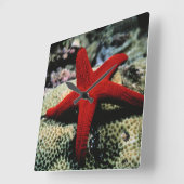 Star Fish | Rood Zee Vierkante Klok (Hoek)