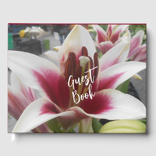 Star Gazer Gastenboek (Voorkant)