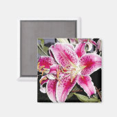 Star Gazer Lily Art Magnet (Recto/Verso)