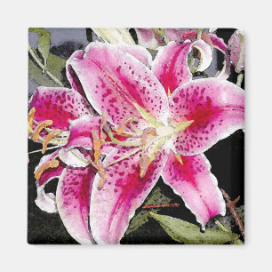 Star Gazer Lily Art Magnet Magneet