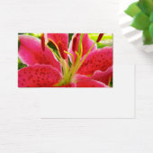 Star Gazer Lily Visitekaartje (Bureau)