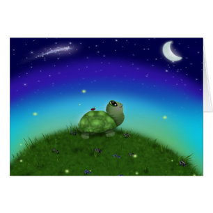 Star Gazing Turtle