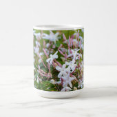 Star Jasmine Flower Floral Pink Mug Coffee Coupe (Centre)