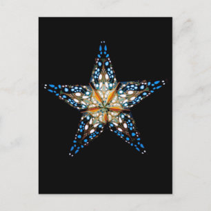 Star LIght #2 Briefkaart