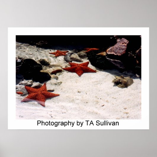 Star Light, Star Bright door TDGallery Poster (Voorkant)