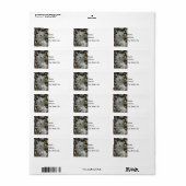 Star Magnolia Blooms Etiket (Full Sheet)