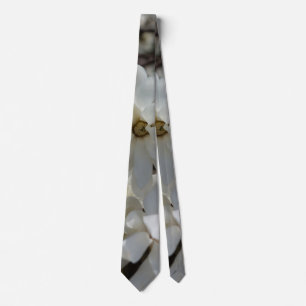 Star Magnolia Blooms - Stropdas