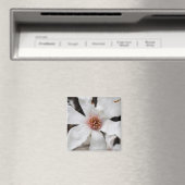 Star Magnolia Closeup Magnet (In Situ (Lave-vaisselle))