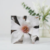 Star Magnolia Kaart (Staand voorkant)