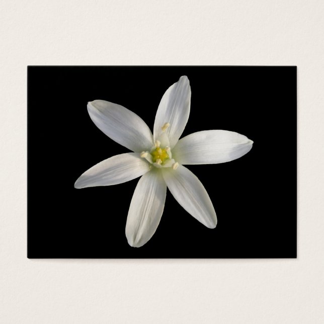 Star of Bethlehem ~ Carte ATC (Devant)