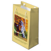 STAR OF WONDER Petit sac cadeau - Or (Dos Angle)