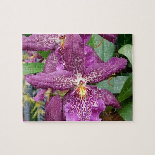 Star Orchids Puzzle Legpuzzel (Horizontaal)