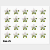 Star Photo Stickers (Vel)