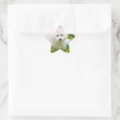 Star Photo Stickers (Tas)