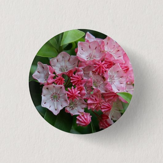 Star Shaped Kalmias Ronde Button 3,2 Cm (Voorkant)