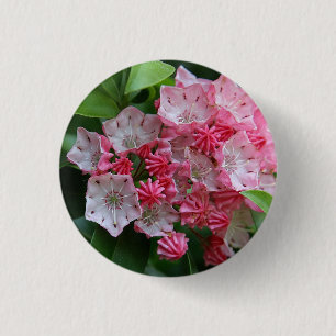 Star Shaped Kalmias Ronde Button 3,2 Cm