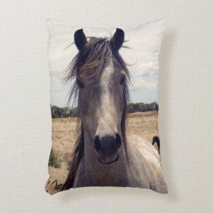 Star The Arab Pony, Accent Kussen