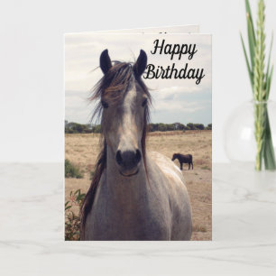 Star The Arab Pony, Birthday Card Notitiekaartje