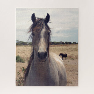 Star The Arab Pony, Jigsaw Puzzle