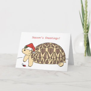  Star Tortoise-kerstkaart Feestdagen Kaart