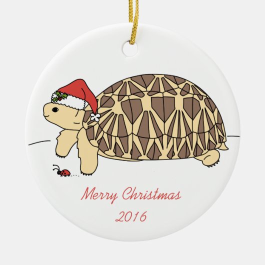 Star Tortoise Ornament (Voorkant)