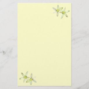 Star van Bethlehem Stationery Briefpapier