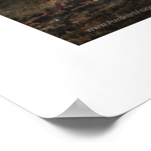 Star Wolf Poster (Hoek)