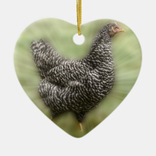 Starburst Chicken Young Barred Plymouth Rock Hen Keramisch Ornament
