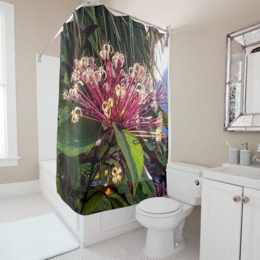 Starburst Clerodendrum Fleurs Douche Rideau (En situation)