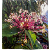 Starburst Clerodendrum Fleurs Douche Rideau (Devant)