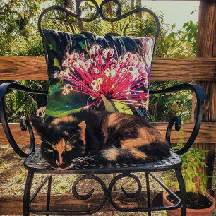 Starburst Clerodendrum Fleurs Jeter Oreiller