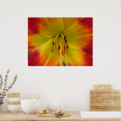 Starburst Lily Poster (Keuken)