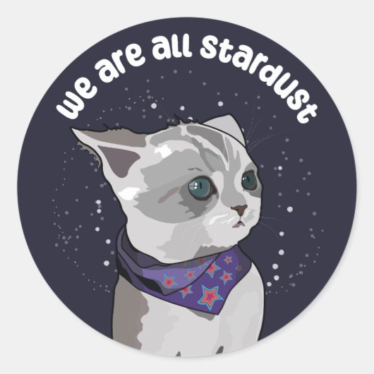 Stardust Kitten Ronde Sticker (Voorkant)