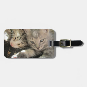 Stardust Kittens Bagagelabel
