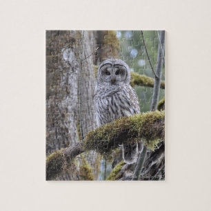 Stare Down with the Owl Legpuzzel