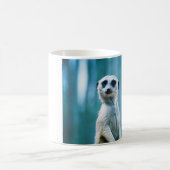 Staredown de Meerkat - tasse (Centre)