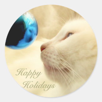 staren op een blauwe ster ronde sticker