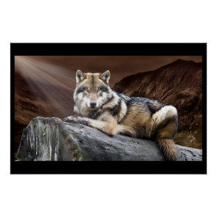 Starende Wolf Perfect Poster