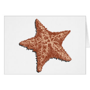 Starfish