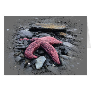Starfish - 5 x 7 inch Art Kaart