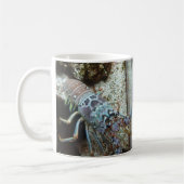 Starfish and Friends Coffee Mug (Gauche)