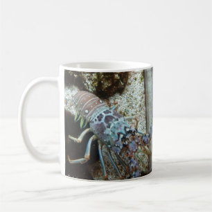 Starfish and Friends Coffee Mug