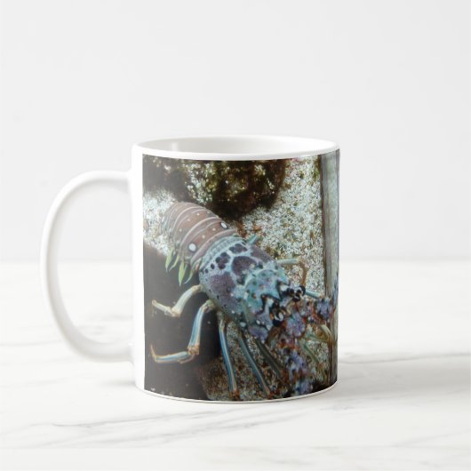 Starfish and Friends Coffee Mug (Gauche)