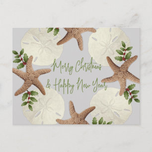 Starfish and Sand Dollars Beach Carte postale de N